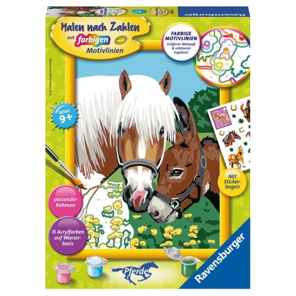 Malset Haflinger und Esel, d