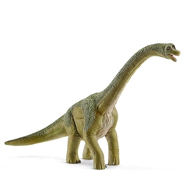 Brachiosaurus