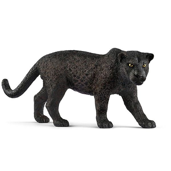 Schwarzer Panther