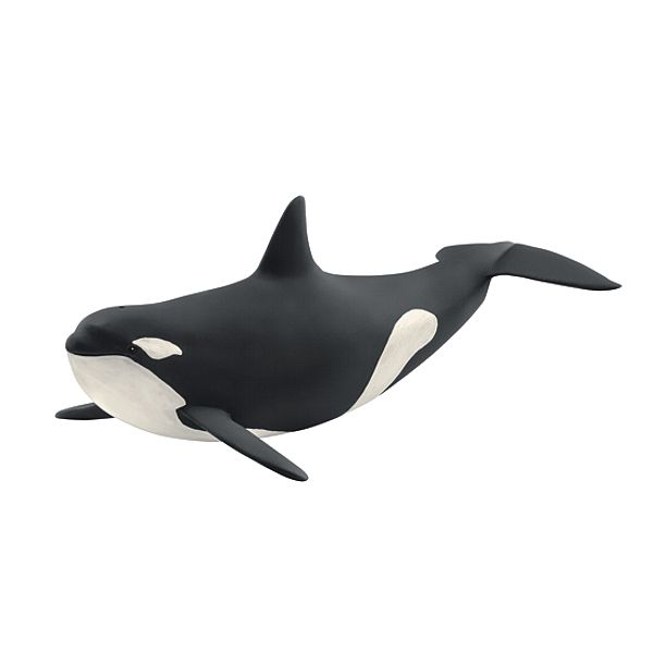 Orka