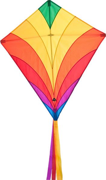 Drachen Eddy Rainbow