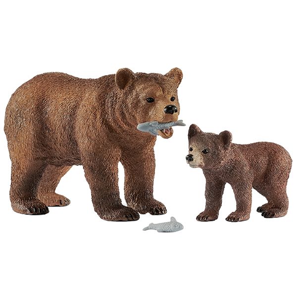 Grizzlybär Mutter mit Jungem