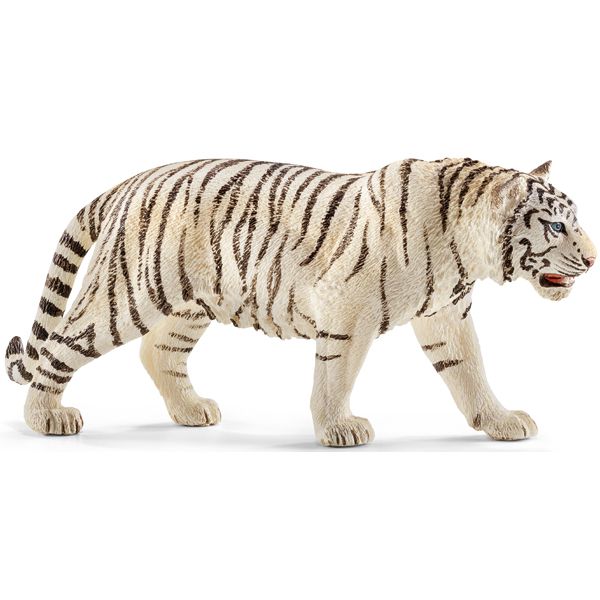 Tiger weiss