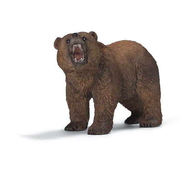 Grizzlybär