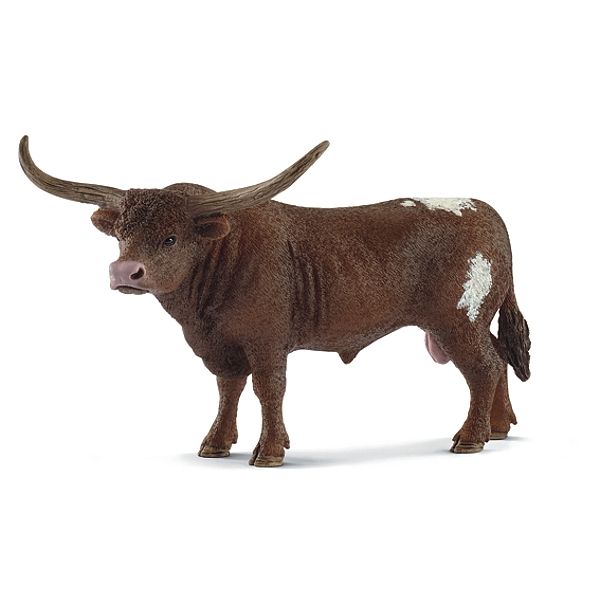 Texas Longhorn Bulle