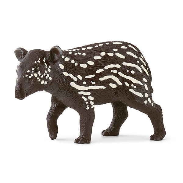 Tapir Junges